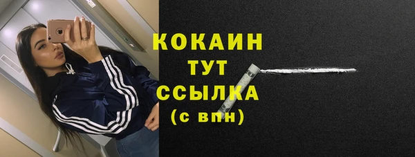 индика Балабаново