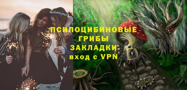 индика Балабаново