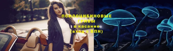 индика Балабаново