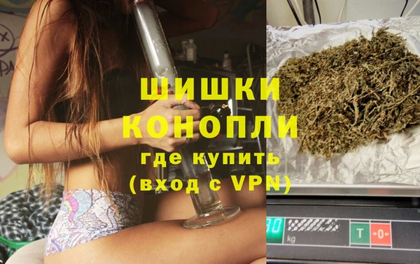 PSILOCYBIN Балахна